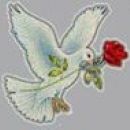 Tina Heron-Hearne
