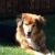 Photo of Mindy Dunkus Glenn