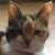 Photo of Annabelle Barcal